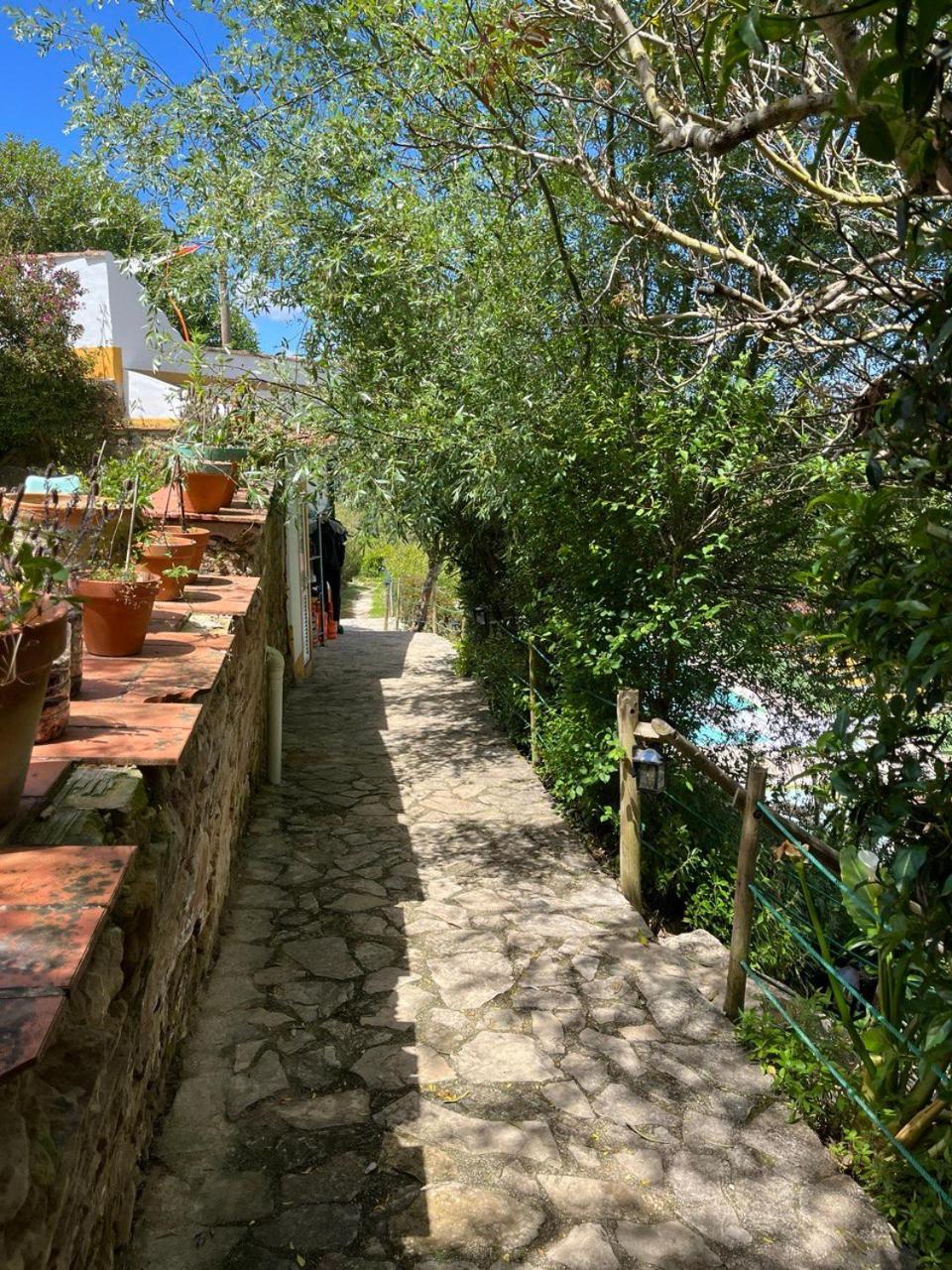 Quinta Laranja - Turismo Rural - Alvorninha Ngoại thất bức ảnh