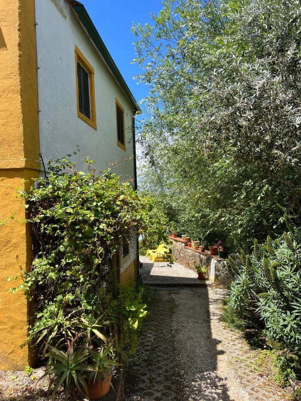 Quinta Laranja - Turismo Rural - Alvorninha Ngoại thất bức ảnh