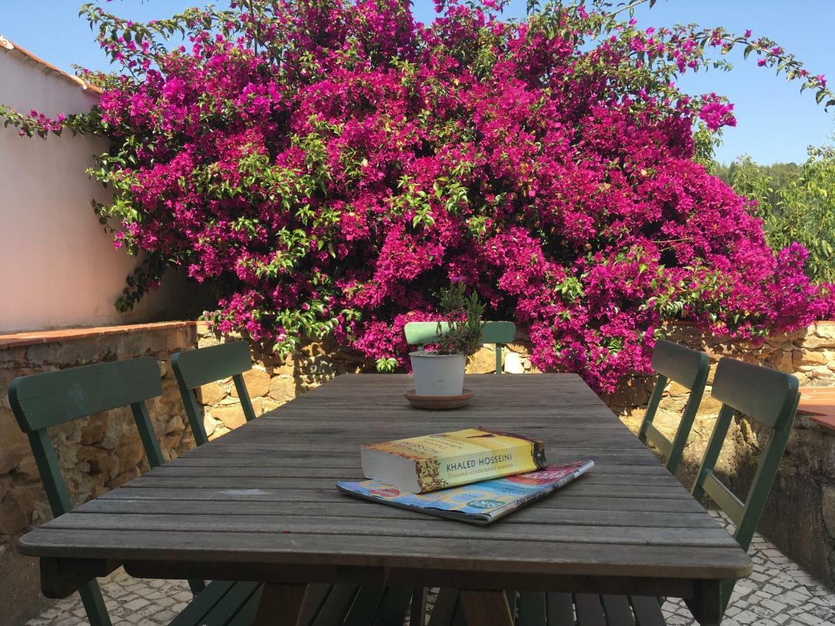 Quinta Laranja - Turismo Rural - Alvorninha Ngoại thất bức ảnh